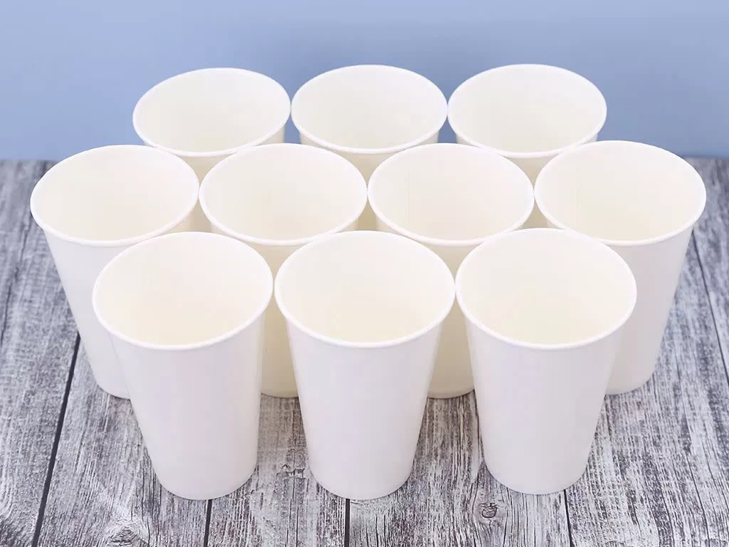 Cốc giấy 12oz