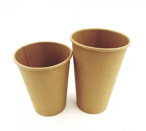 Cốc giấy 12oz