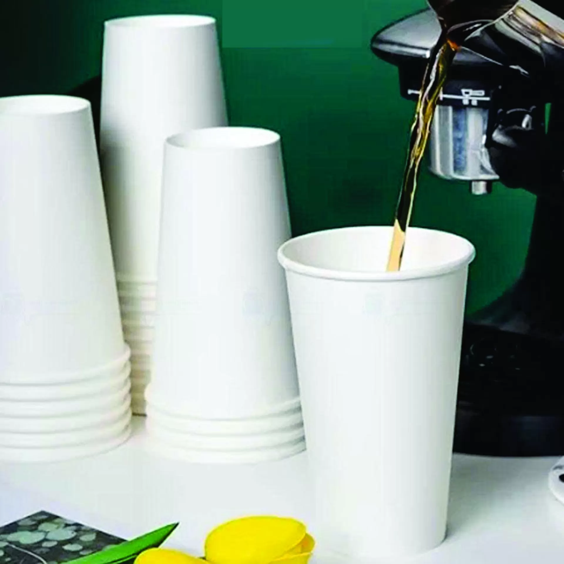 Cốc giấy 16oz