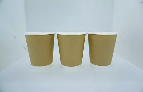 Cốc giấy 12oz